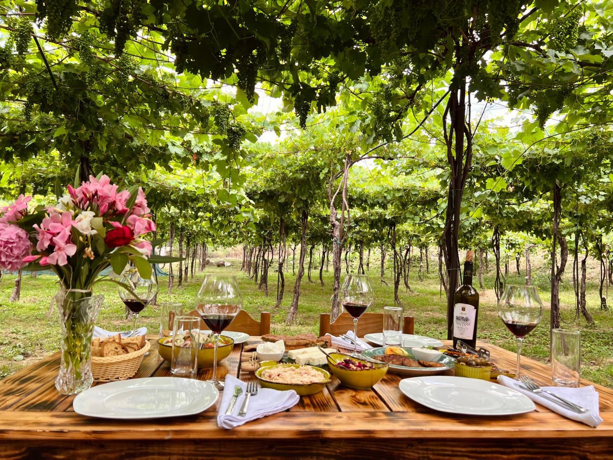 Отель Alpeta Agrotourism & Winery - Roshnik , Берат Экстерьер фото